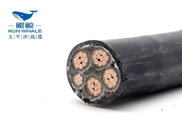 低煙無鹵電纜應(yīng)用在哪些場所你知道嗎？
